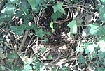 GCSOR_20140723154427.jpg