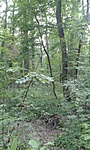 GCzkcs_20140731170009.jpg