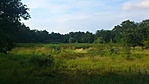 Bikató