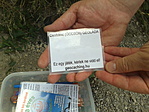 A kód