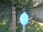 A tábla