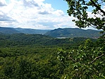 GCborj_20140816134452.jpg