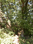 1 -es pontnál