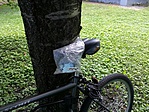 GCFisl_20140810162549.jpg