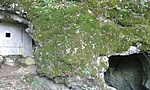 GCorju_20140824125743.jpg