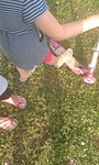 GCFERO_20140820170304.jpg