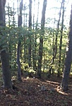 GC2500_20140825184712.jpg