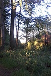 GC2500_20140825184747.jpg