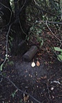 GCFisl_20140814192947.jpg