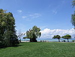A Balatonpart a parkból