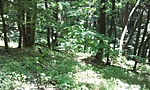 GCmari_2014089115601.jpg