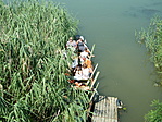 csoport