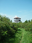 Ösvényről