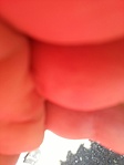 GCHGTU_20140818123459.jpg