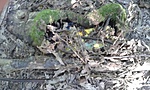 GCzkcs_2014088111749.jpg