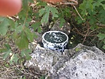 GCDURR_20140811123116.jpg