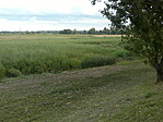 Holt-Tisza III. szakasz