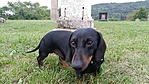 GCTBK_2014092180237.jpg