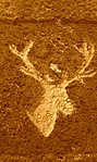 Hirsch