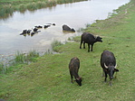 Közelebb jönnek