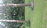 GCGRAS_2014094170344.jpg