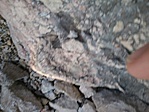 GCBKRK_2014097172508.jpg