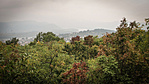 Panoráma