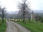A torony