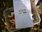 De jó! Meglett!