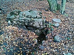 GCange_20141026121917.jpg