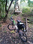 GCange_20141026122025.jpg
