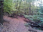 GCPava_20141026123102.jpg
