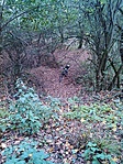 GCPava_20141026124044.jpg
