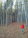 GCSaPa_20141030144139.jpg