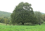 Odafelé menet Szád-várról
