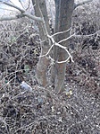 GCEGET_20141125135949.jpg