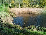 GCBELL_2014115103913.jpg