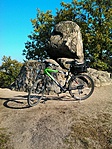 GCIngo_2014115115129.jpg