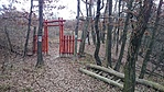 Kapu