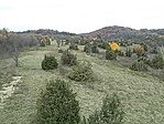 GCKOVA_2014119113155.jpg