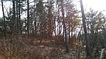 GCVVKK_20141122115201.jpg