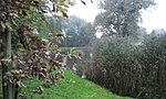 GCVEKE_2014112160050.jpg
