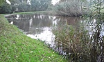 GCVEKE_2014112160109.jpg
