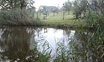 GCVEKE_2014112160123.jpg