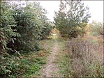 A szikes ösvény