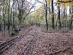 A tanösvényen