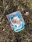 láda romokban, tartalma nyomokban