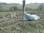 GCPATC_20150221133437.jpg