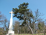 Bringás seprű