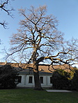 Érrendszer